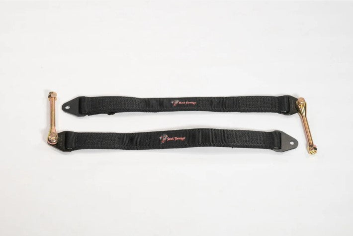 Can-am Maverick R Limit Strap Kit